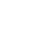 State-Transport-Undertakings